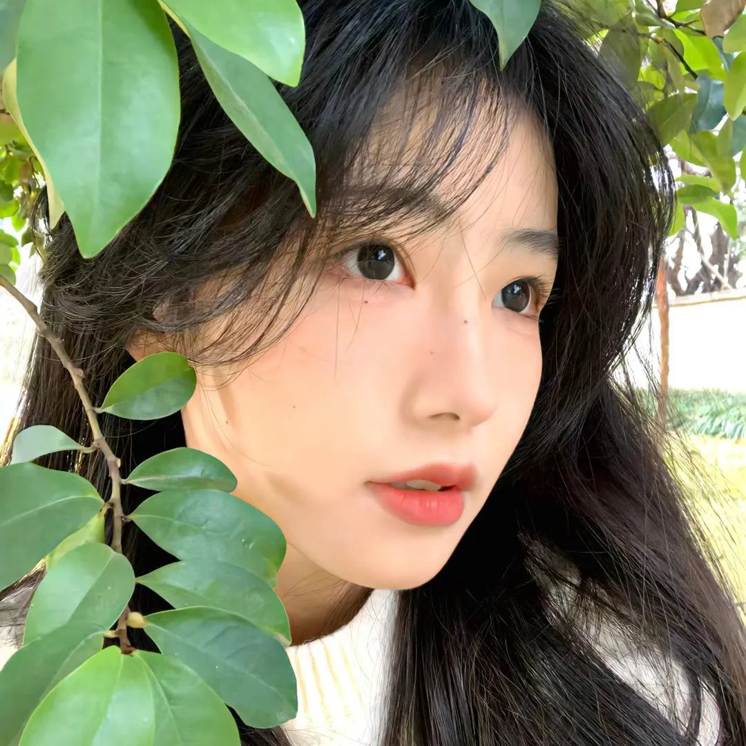 乌鸦与麻雀
