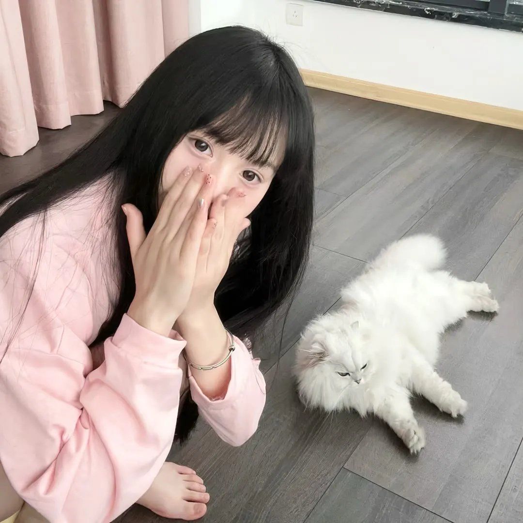 画个圈圈